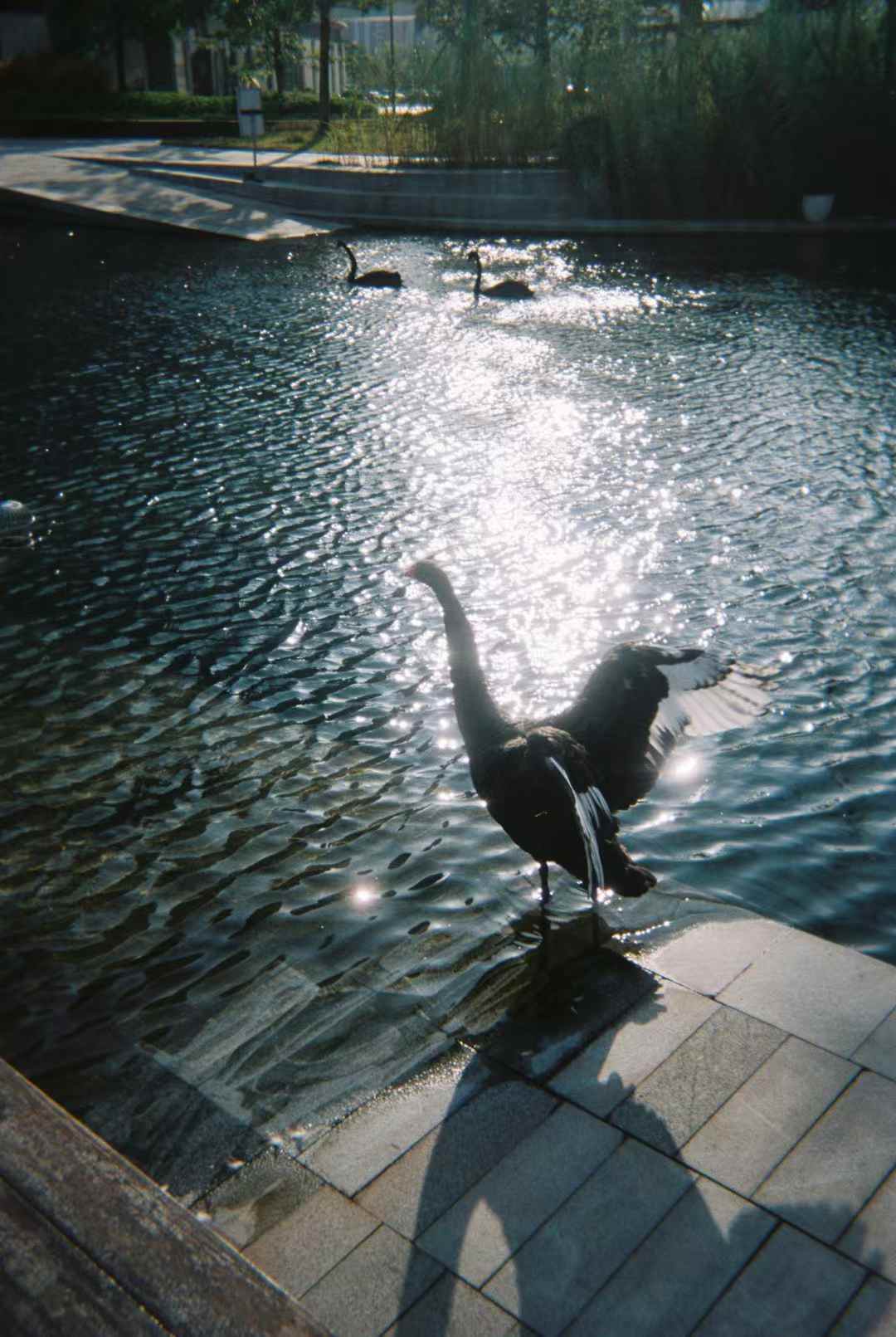 HKUST (GZ) 01